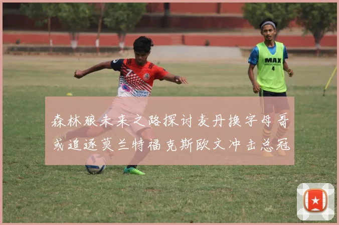 森林狼未来之路探讨麦丹换字母哥或追逐莫兰特福克斯欧文冲击总冠军