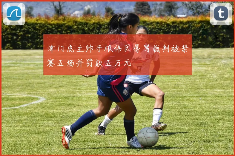 津门虎主帅于根伟因辱骂裁判被禁赛五场并罚款五万元